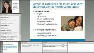 Supporting Home Visiting Programs Through IECMHC