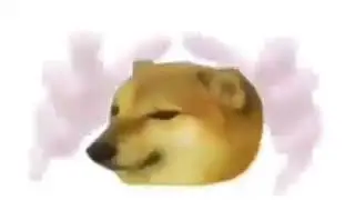Cheems