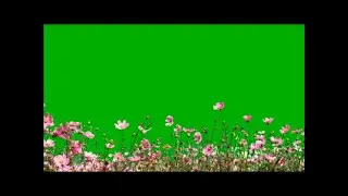 Flowers Blowing field Green Screen free ✓ No Copyright || AadityaSingh Studio