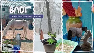 \влог\ жизнь в академии репина