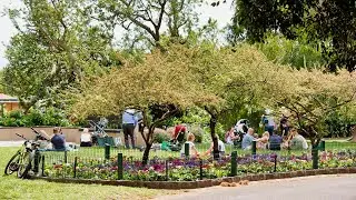 Sustainable Stonnington: Path to Zero Carbon Emissions