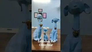 Salihotra Vet Clinic tour.