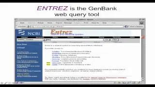 Intro Biostatistics and Bioinformatics #3