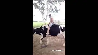 lustiges video zum totlachen #62