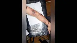 tattoo arm butterfly barbed wire birds тату рука бабочки колючая проволока птицы
