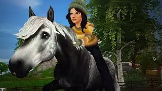 Nya connemaran!! Köp en död häst med mig;)