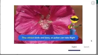 Twig science song plant parts