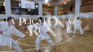 COURS DE KARAT&Eacute; D&Eacute;BUTANTS PARIS - Vendredi 19h Gymnase &Eacute;glise Am&eacute;ricaine | Apprendre le Karat&eacute; 2025
