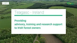 Teagasc - Integrating forestry research into knowledge transfer in Ireland