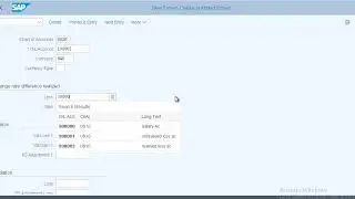 S4 HANA Simulation ledger configuration | Simulation extension ledger Foreign currency valuation