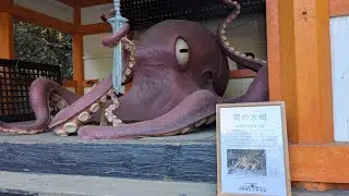 #99 寒い中佐伯市までツーリング👍