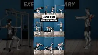 Top 9 Rear Delt Exercises for Massive Shoulders | Rear Delt Workout Guide