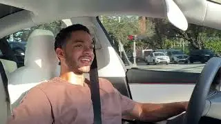 Tesla Model 3: The Undisputed Best Daily Driver