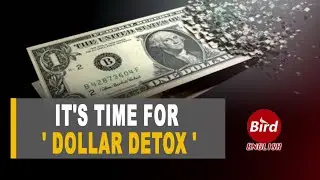 Dollar Detox: &lsquo;Time to ditch the dollar,&rsquo; says Cuban President | Bird Media English