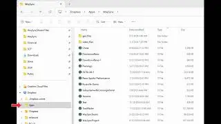 File Not Shown in Dropbox