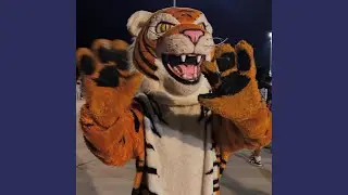 Tokay Tigers Club Mix X Tokay Cheers (Redizo, King Azam & DJ VIKAY Remix)