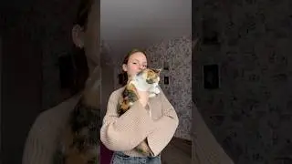 //addicted to my cat🐈💔🤭  Inst: gvozd.ik_    #cat #блогер #блог #blog #blogger #кот