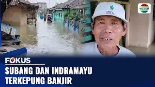 Subang dan Indramayu Terkepung Banjir | Fokus