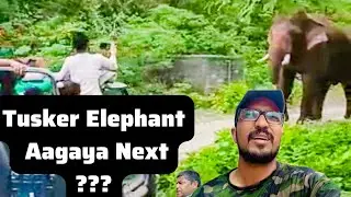 Jhirna Zone | Tusker Elephant close encounter, Next  ??? #corbett  #safari