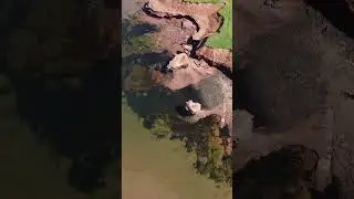 Teacup Rock PEI Drone Cinematic