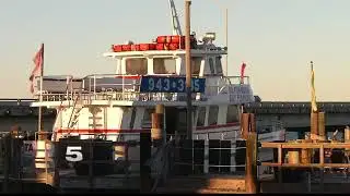 Study Shows Number of Winter Texans Increasing in RGV