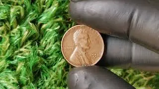 FREE Coin Collecting Supplies?! Here&rsquo;s How to Get Them
