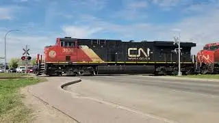 CN 3836 Leads a Southbound L539 (5/19/2025)