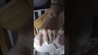 C&oacute;mo empezar y c&oacute;mo rematar una hebra en lugana