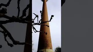 #d&uuml;sseldorf #rhinetower #deutschland #travel #germany #youtubeshorts #shorts