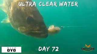 How to Catch Smallmouth Bass in Ultra Clear Water!
