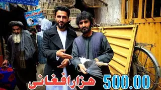 قیمت ترین چپ، کوچه کاه فروشی 500.00 هزار افغانی|خیل مزاری در دوکان عزیز پرکن| سیاه چپ به 700 $ دالر