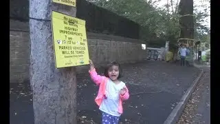 Sheffield's Best Street Tree, Chelsea Road Elm Tree to be Felled