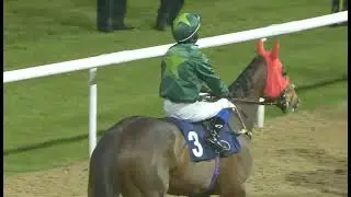 RACE 7 - 19:30 Wolverhampton 23 Feb 2026