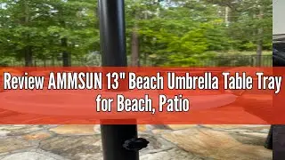 Review AMMSUN 13
