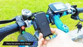 HI-FLYING electric bicycle TOP-012  New features