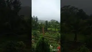 River view 😍 #river #viral #nature #kolhapur #agroturismo #trending #shorts #agriculture #farming