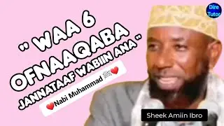 Shek Amin Ibro : Dhaamsa Dhibbaa Umuu, Safu, Kaajaa, Haqa, Kijiba.#waa6 ofnaaqabaa : #nabi_muhammedﷺ