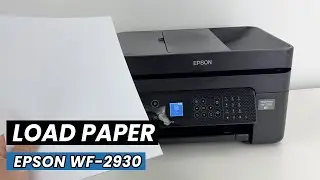 Как вставить бумагу в принтер Epson WF-2930