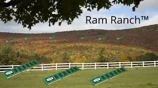 Grant McDonald- Ram ranch (instrumental 2012)