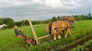 FINALLY SOME GOOD HAYING WEATHER??! // Draft Horse Farming #499