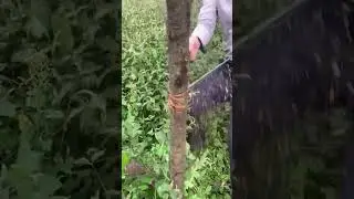 Handheld tree cutting chain saw- Good practical tools to share