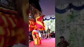 sang maestro dadak merak pak samsi reog