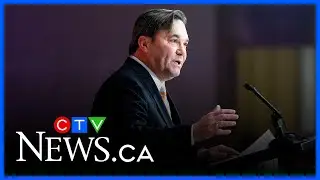 Should the interim NDP Leader seek out a Speaker role?