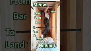 swing from bar to land on metal bar nutshot