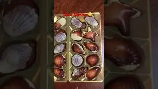 Chocolate Seashells