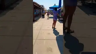 Den Hague beach | holland #shorts