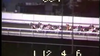 1984 Meadowlands Pace - On The Road Again & Buddy Gilmour
