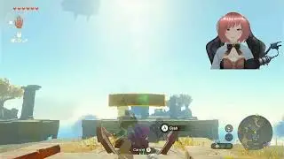 I'M ON MY LAST STRAW WITH THESE LIGHTROOTS! |The Legend of Zelda: Tears of the Kingdom|