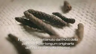 Le Nostre Botaniche: Pepe Lungo (Nepal)