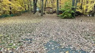 Необычайно приятная уборка листьев!